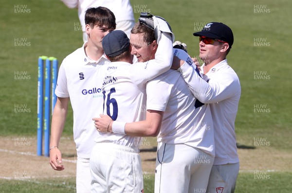 180421 - Glamorgan v Sussex - LV= County Championship - Ollie Robinson of Sussex celebrates after Callum Taylor is caught by Stiaan van Zyl
