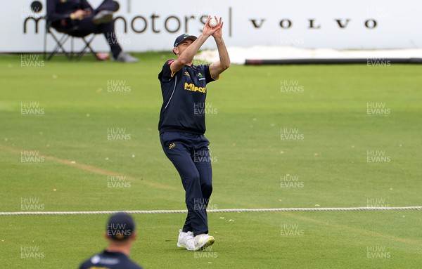 190622 - Glamorgan v Sussex Sharks - Vitality T20 Blast - James Weighell of Glamorgan catches out Mohammad Rizwan