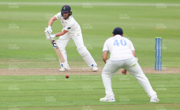250623 - Glamorgan v Sussex, LV= Insurance County Championship, Div 2 - James Coles of Sussex fields a shot from Billy Root of Glamorgan