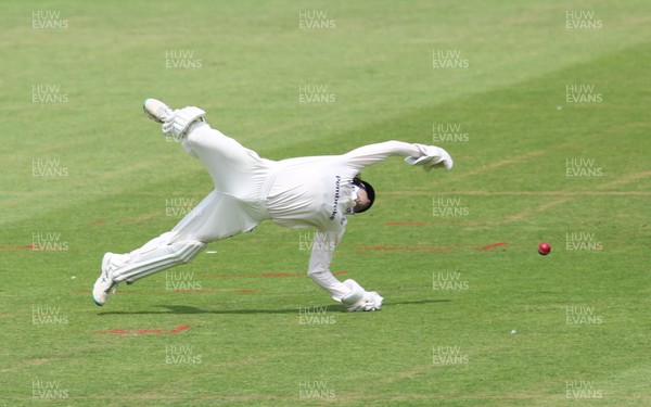 250623 - Glamorgan v Sussex, LV= Insurance County Championship, Div 2 - Oli Carter of Sussex dives as he looks to catch Chris Cooke of Glamorgan