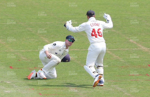 250623 - Glamorgan v Sussex, LV= Insurance County Championship, Div 2 - Tom Bevan of Glamorgan is congratulated by Chris Cooke of Glamorgan after catching James Coles of Sussex