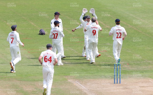 250623 - Glamorgan v Sussex, LV= Insurance County Championship, Div 2 - James Harris of Glamorgan celebrates with team mates after taking the wicket of James Coles of Sussex