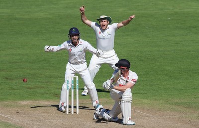 260816 - Glamorgan v Sussex, Specsavers County Championship, Division 2 - Mark Wallace of Glamorgan and Will Bragg of Glamorgan appeal for the wicket of Luke Wells of Sussex