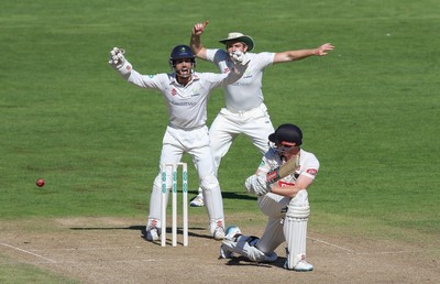 260816 - Glamorgan v Sussex, Specsavers County Championship, Division 2 - Mark Wallace of Glamorgan and Will Bragg of Glamorgan appeal for the wicket of Luke Wells of Sussex