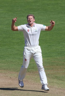 260816 - Glamorgan v Sussex, Specsavers County Championship, Division 2 - Timm van der Gugten of Glamorgan shows his frustration as he misses the opportunity to take a wicket