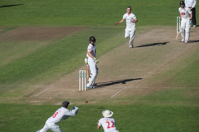 260816 - Glamorgan v Sussex, Specsavers County Championship, Division 2 - Graham Wagg of Glamorgan celebrates after Chris Nash of Sussex is caught out by Mark Wallace of Glamorgan