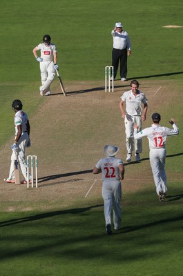 260816 - Glamorgan v Sussex, Specsavers County Championship, Division 2 - Michael Hogan of Glamorgan celebrates after Jofra Archer of Sussex is caught by Mark Wallace of Glamorgan