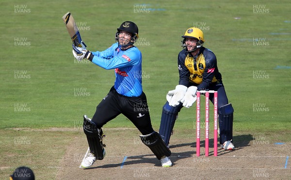 260819 - Glamorgan v Sussex Sharks - Vitality T20 Blast - Alex Carey of Sussex batting