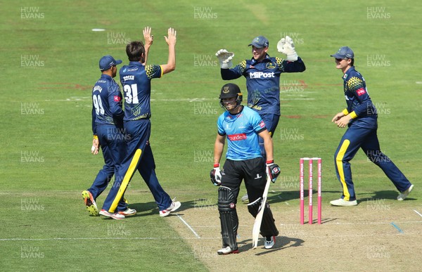 080718 - Glamorgan v Sussex Sharks, Vitality Blast 2018 - Michael Hogan of Glamorgan celebrates with tea mates after taking the wicket of Phil Salt of Sussex Sharks