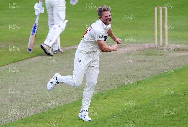 060920 - Glamorgan Cricket v Warwickshire - Bob Willis Trophy - Timm van der Gugten of Glamorgan celebrates after bowling Sam Hain out for LBW