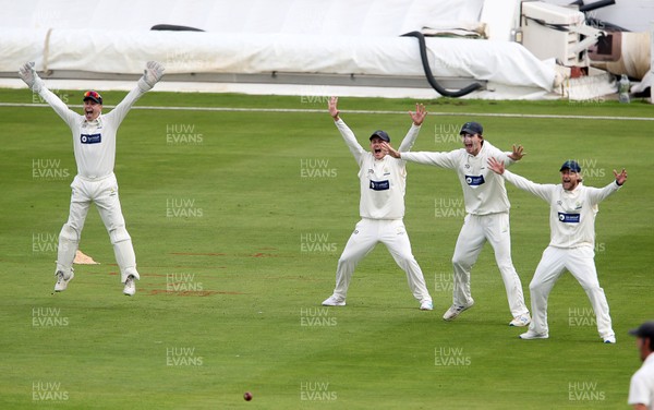 060920 - Glamorgan Cricket v Warwickshire - Bob Willis Trophy - Tom Cullen, Owen Morgan, Nick Selman and Billy Root appeal for a wicket