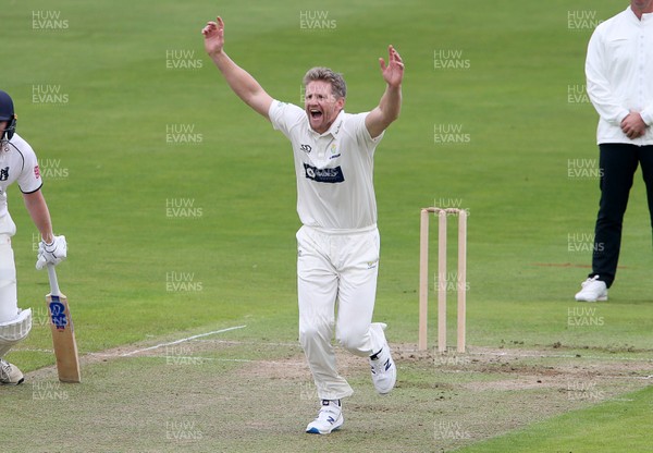 060920 - Glamorgan Cricket v Warwickshire - Bob Willis Trophy - Timm van der Gugten of Glamorgan appeals for a wicket