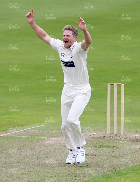 060920 - Glamorgan Cricket v Warwickshire - Bob Willis Trophy - Timm van der Gugten of Glamorgan appeals for a wicket