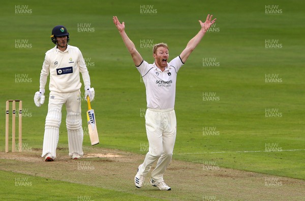 070920 - Glamorgan Cricket v Warwickshire - Bob Willis Trophy - Liam Norwell of Warwickshire appeals a wicket