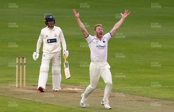 070920 - Glamorgan Cricket v Warwickshire - Bob Willis Trophy - Liam Norwell of Warwickshire appeals a wicket