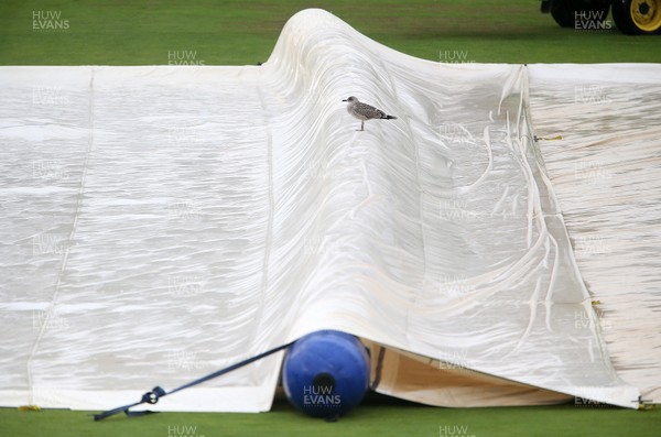 070920 - Glamorgan Cricket v Warwickshire - Bob Willis Trophy - The covers are on as rain falls at Sophia Gardens
