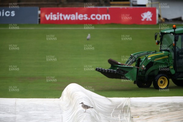 070920 - Glamorgan Cricket v Warwickshire - Bob Willis Trophy - The covers are on as rain falls at Sophia Gardens
