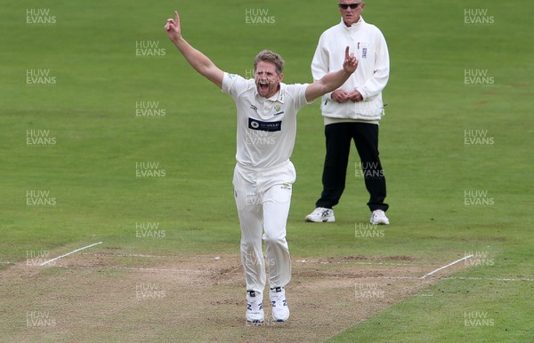 080920 - Glamorgan v Warwickshire - Bob Willis Trophy - Timm van der Gugten of Glamorgan appeals for a wicket