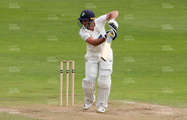 090920 - Glamorgan v Warwickshire - Bob Willis Trophy - Chris Cooke of Glamorgan batting