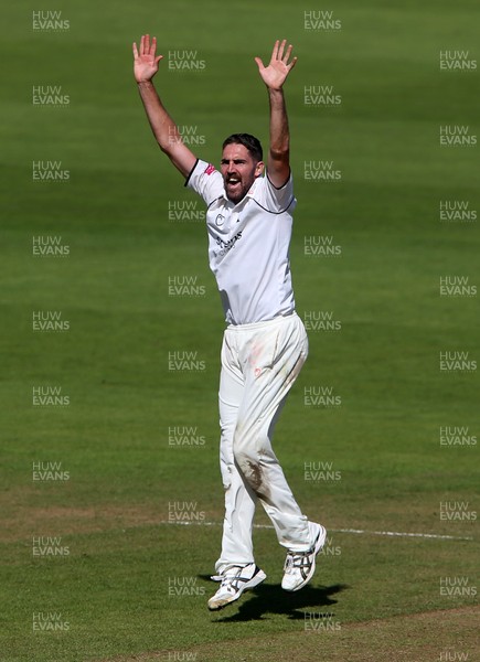 090920 - Glamorgan v Warwickshire - Bob Willis Trophy - Ryan Sidebottom of Warwickshire appeals for a wicket