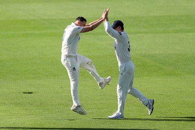 090926 - Glamorgan v Warwickshire - Rothesay County Championship, Division One - Ed Barnard of Warwickshire celebrates taking the wicket of Season Dickson of Glamorgan