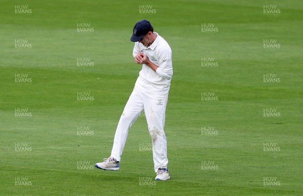 090926 - Glamorgan v Warwickshire - Rothesay County Championship, Division One - Ben Kellaway of Glamorgan catches the ball to dismiss Ethan Bamber