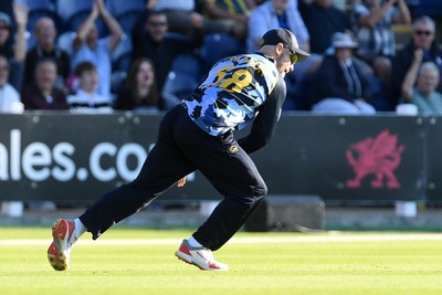 030726 - Glamorgan v Warwickshire Bears - Vitality Blast Men - Sean Dickson of Glamorgan catches the ball to dismiss Beau Webster of Warwickshire Bears