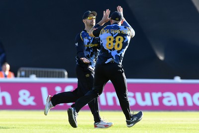 030726 - Glamorgan v Warwickshire Bears - Vitality Blast Men - Sean Dickson of Glamorgan catches the ball to dismiss Beau Webster of Warwickshire Bears