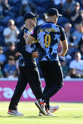 030726 - Glamorgan v Warwickshire Bears - Vitality Blast Men - Sean Dickson of Glamorgan catches the ball to dismiss Beau Webster of Warwickshire Bears