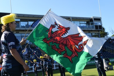 030726 - Glamorgan v Warwickshire Bears - Vitality Blast Men - Wales flag
