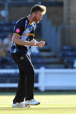 030726 - Glamorgan v Warwickshire Bears - Vitality Blast Men - Jimmy Neesham of Glamorgan bowls the ball to dismiss Dan Mousley of Warwickshire Bears
