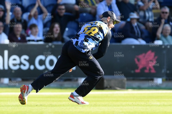 030726 - Glamorgan v Warwickshire Bears - Vitality Blast Men - Sean Dickson of Glamorgan catches the ball to dismiss Beau Webster of Warwickshire Bears