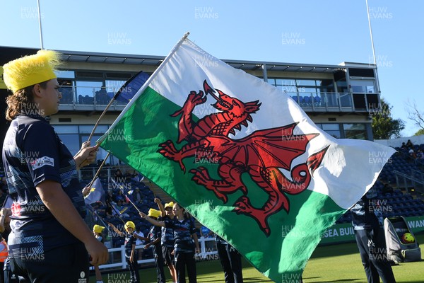 030726 - Glamorgan v Warwickshire Bears - Vitality Blast Men - Wales flag