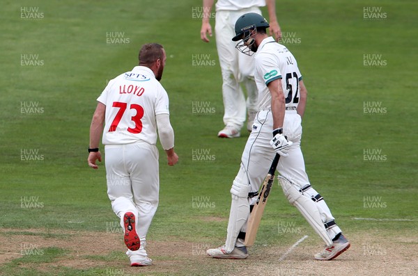 010719 - Glamorgan v Worcestershire - Specsavers County Championship Division Two - David Lloyd of Glamorgan celebrates after Joshua Dell is caught by Tom Cullen