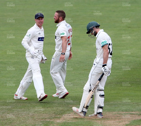 010719 - Glamorgan v Worcestershire - Specsavers County Championship Division Two - David Lloyd of Glamorgan celebrates with Tom Cullen after he caught Joshua Dell