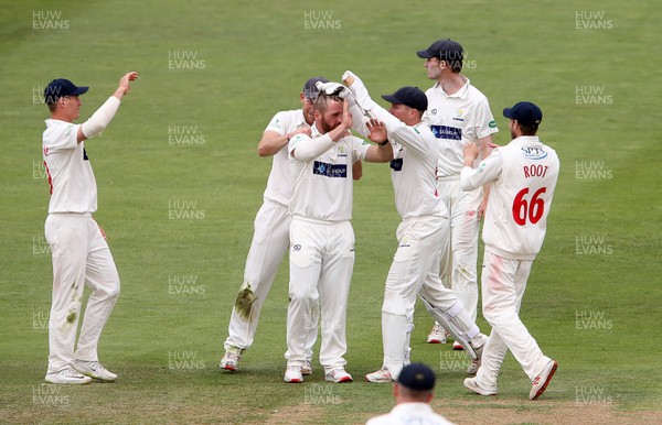 010719 - Glamorgan v Worcestershire - Specsavers County Championship Division Two - David Lloyd of Glamorgan celebrates with team mates after Joshua Dell is caught by Tom Cullen