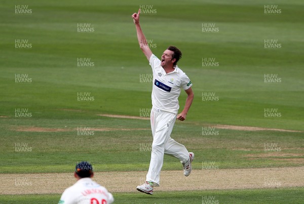 010719 - Glamorgan v Worcestershire - Specsavers County Championship Division Two - Michael Hogan of Glamorgan celebrates after Daryl Mitchell was caught by Tom Cullen