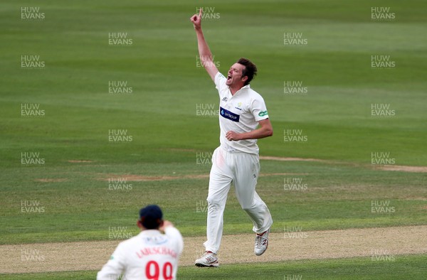 010719 - Glamorgan v Worcestershire - Specsavers County Championship Division Two - Michael Hogan of Glamorgan celebrates after Daryl Mitchell was caught by Tom Cullen