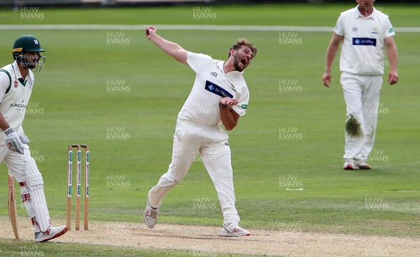 010719 - Glamorgan v Worcestershire - Specsavers County Championship Division Two - Lukas Carey of Glamorgan bowling