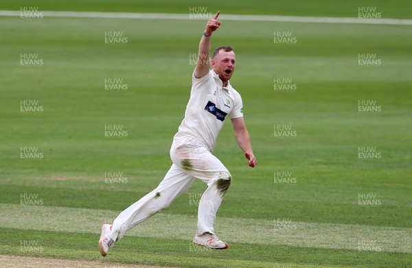 010719 - Glamorgan v Worcestershire - Specsavers County Championship Division Two - Graham Wagg of Glamorgan celebrates as Riki Wessels is caught by Nick Selman