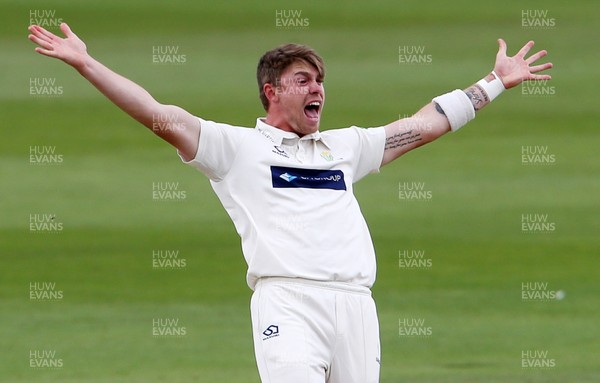 010719 - Glamorgan v Worcestershire - Specsavers County Championship Division Two - Dan Douthwaite of Glamorgan appeals for a wicket