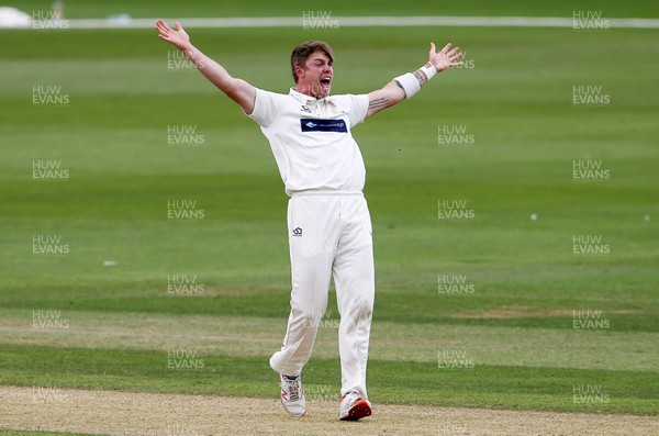 010719 - Glamorgan v Worcestershire - Specsavers County Championship Division Two - Dan Douthwaite of Glamorgan appeals for a wicket