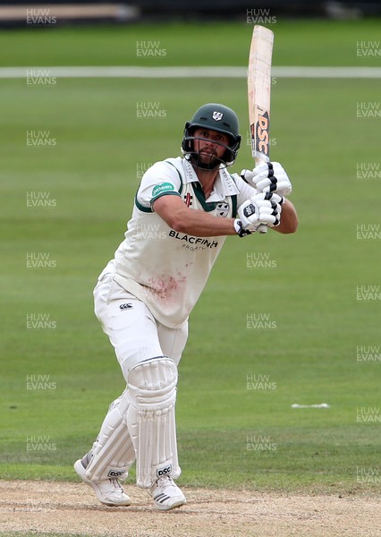 010719 - Glamorgan v Worcestershire - Specsavers County Championship Division Two - Ross Whiteley of Worcestershire batting