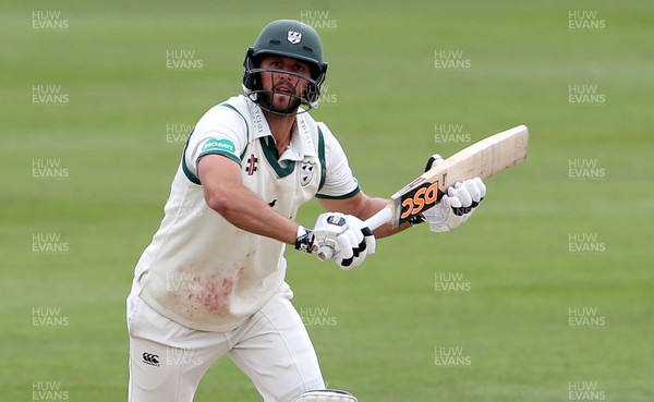 010719 - Glamorgan v Worcestershire - Specsavers County Championship Division Two - Ross Whiteley of Worcestershire batting