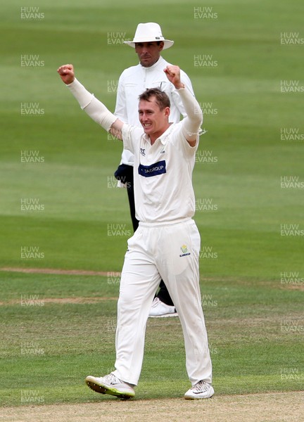 020719 - Glamorgan v Worcestershire - Specsavers County Championship Division Two - Marnus Labuschagne of Glamorgan celebrates after Charlie Morris is run out by Billy Root