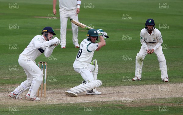 020719 - Glamorgan v Worcestershire - Specsavers County Championship Division Two - Ben Cox of Worcestershire batting