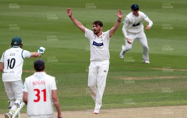 020719 - Glamorgan v Worcestershire - Specsavers County Championship Division Two - Lukas Carey of Glamorgan appeals for a wicket