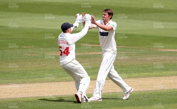 020719 - Glamorgan v Worcestershire - Specsavers County Championship Division Two - Michael Hogan of Glamorgan celebrates with Tom Cullen after bowling out Ed Barnard for LBW