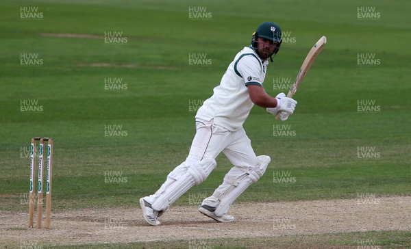 020719 - Glamorgan v Worcestershire - Specsavers County Championship Division Two - Joe Leach of Worcestershire batting