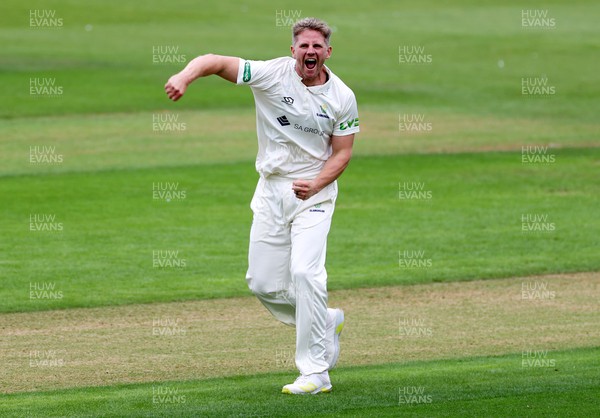 050922 - Glamorgan v Worcestershire - LV= County Championship, Division Two - Timm Van Der Gugten of Glamorgan celebrates taking the wicket of Jack Haynes of LBW